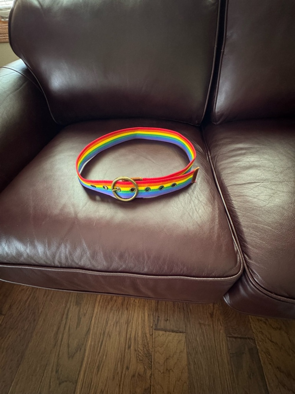 Rainbow Stripe Webbing Belt with Gold O-Ring Buckle